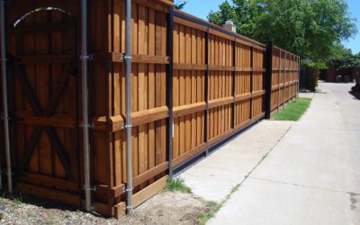The Complete Guide: Everything About Cedar Fences